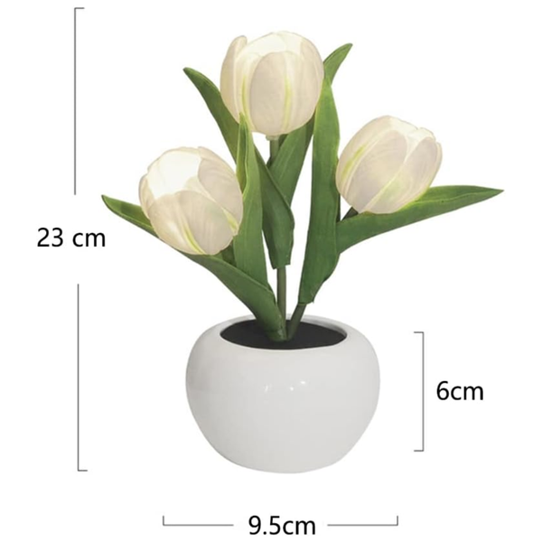 Tulip LED Lamp