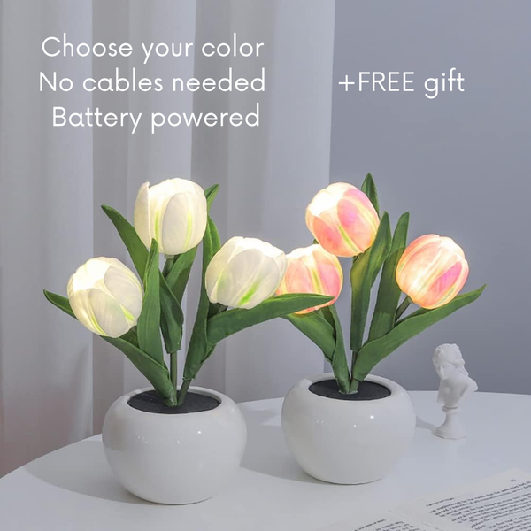 Tulip LED Lamp