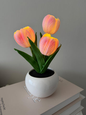 Tulip LED Lamp